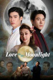 Love in the Moonlight